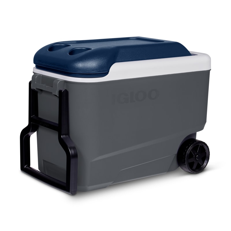 Igloo 40 qt cooler 2025