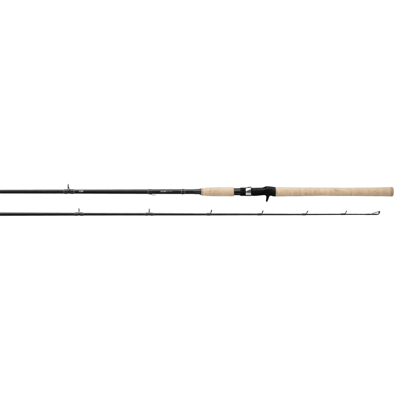 DX Swimbait Casting Rod by Daiwa at Fleet Farm