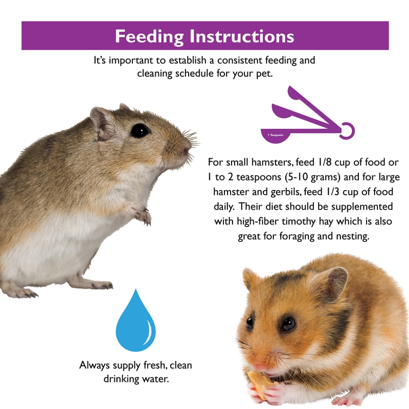 Tropical carnival hamster food 2025