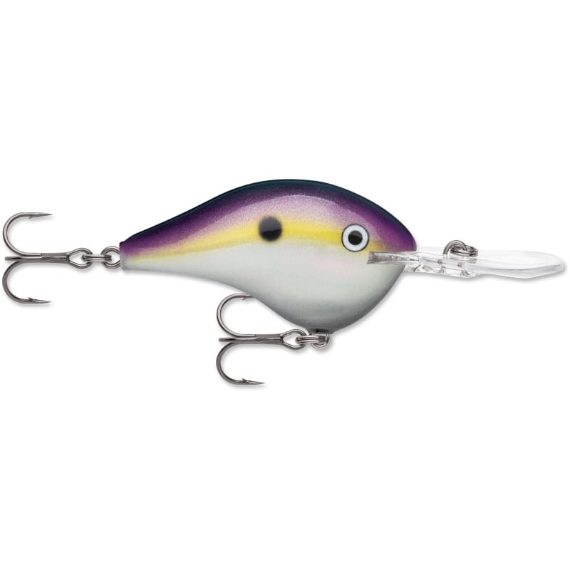 Rapala DT (Dives-To) Series Big Shad