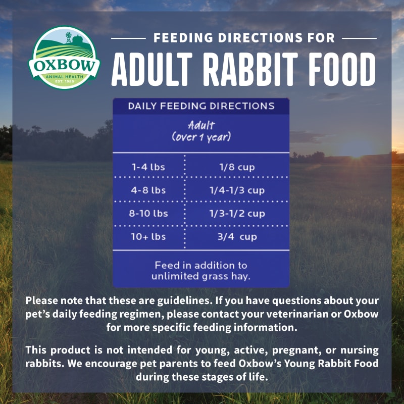 Oxbow adult rabbit food sale