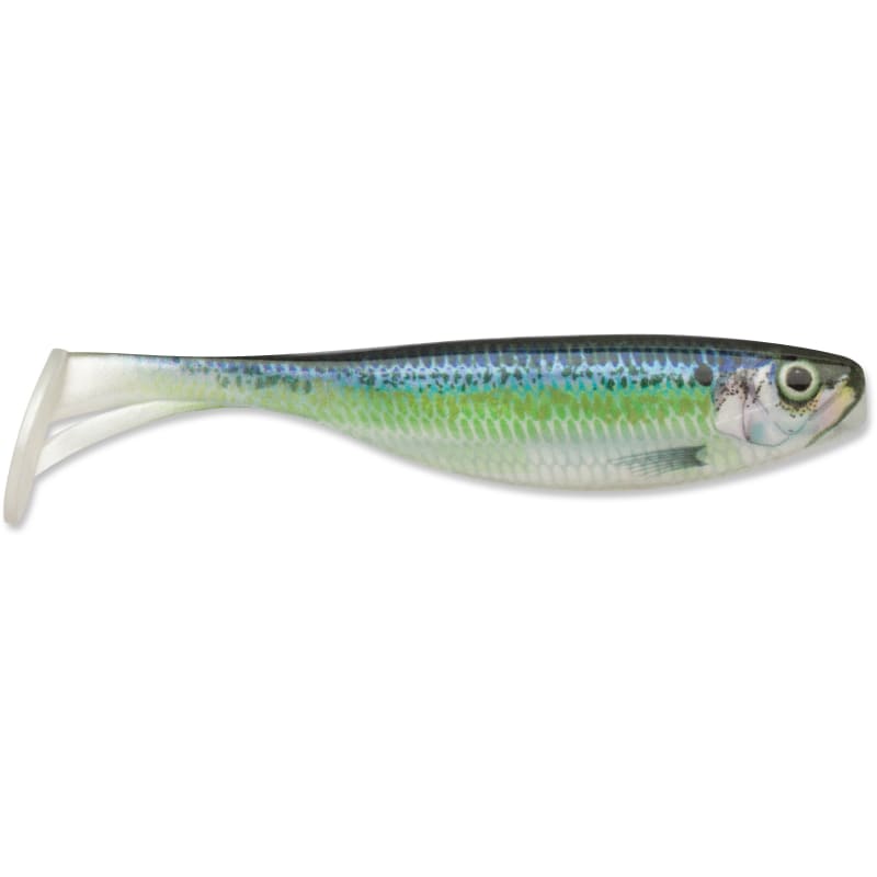 Live River Shad Largo Shad Jig by Storm at Fleet Farm