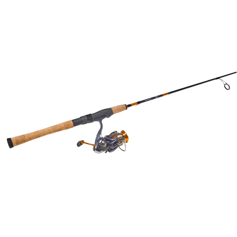 Daiwa Aird X Laguna Ft In M Spinning Combo Academy, 43% OFF