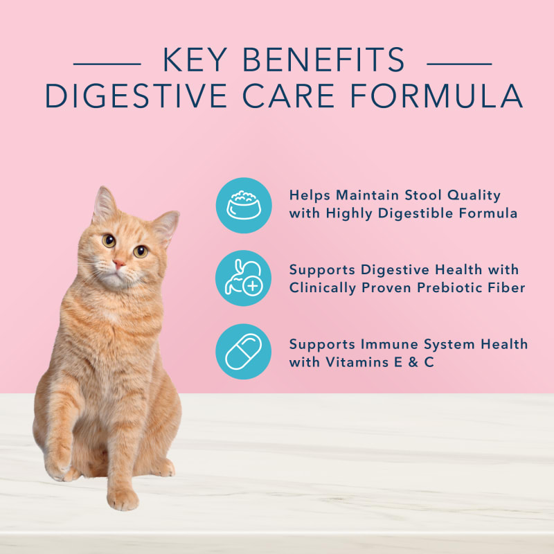 blissful belly wet cat food Blue Buffalo True Solutions Blissful Belly Natural Digestive Care Adult Dry Cat Food, Chicken 11-lb