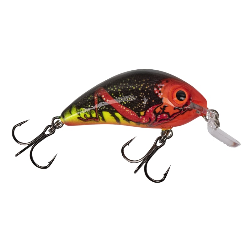 Fire Bug Rattling Hornet Shallow Runner Crankbait