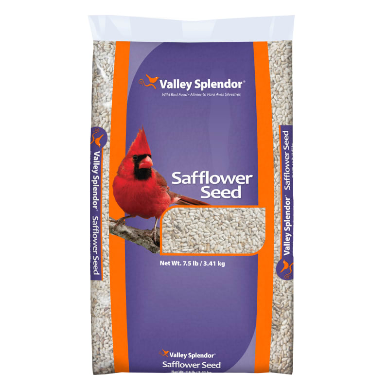 Safflower Seed Wild Bird Food by Valley Splendor at Fleet Farm
