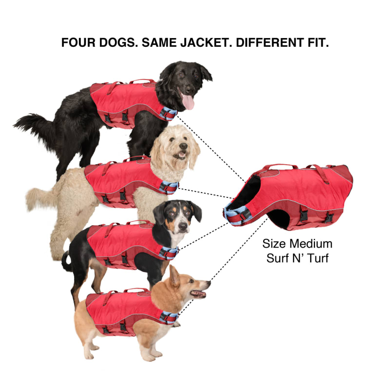 Dog life jacket 2025 fleet farm