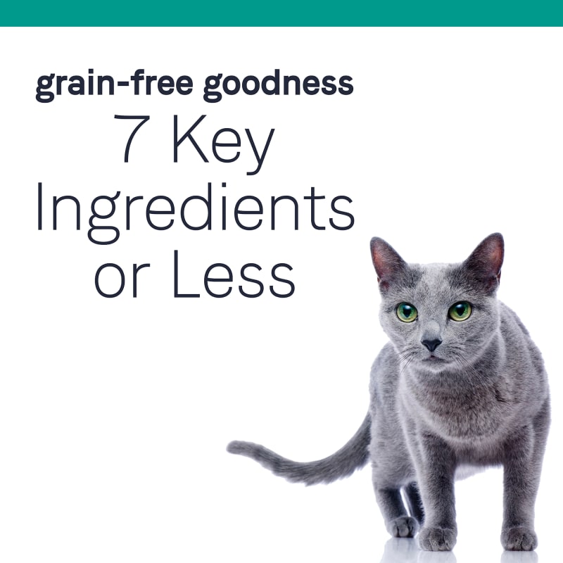 Canidae dry cat food hotsell