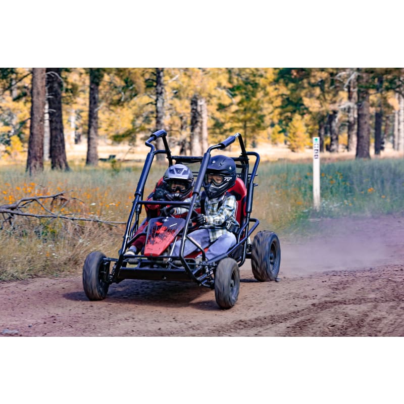 KT196 Youth 2-Passenger Go-Kart by Coleman at Fleet Farm