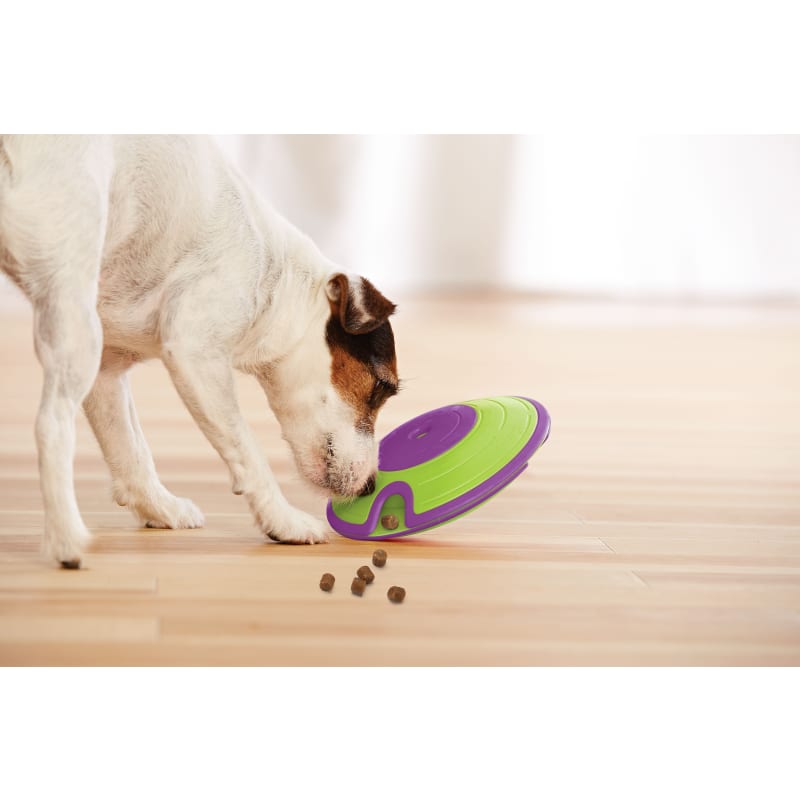 Outward hound dog treat maze online