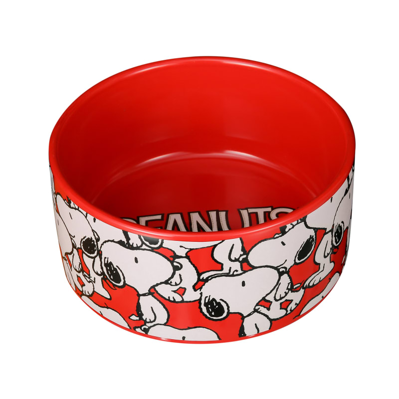Peanuts snoopy dog bowl sale