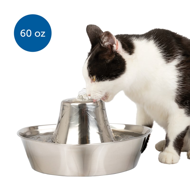 Petsafe stainless steel water fountain deals
