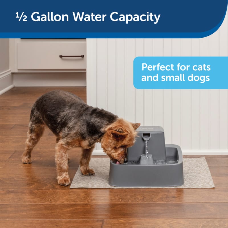 Drinkwell 1 2 gal Gray Pet Fountain by PetSafe at Fleet Farm