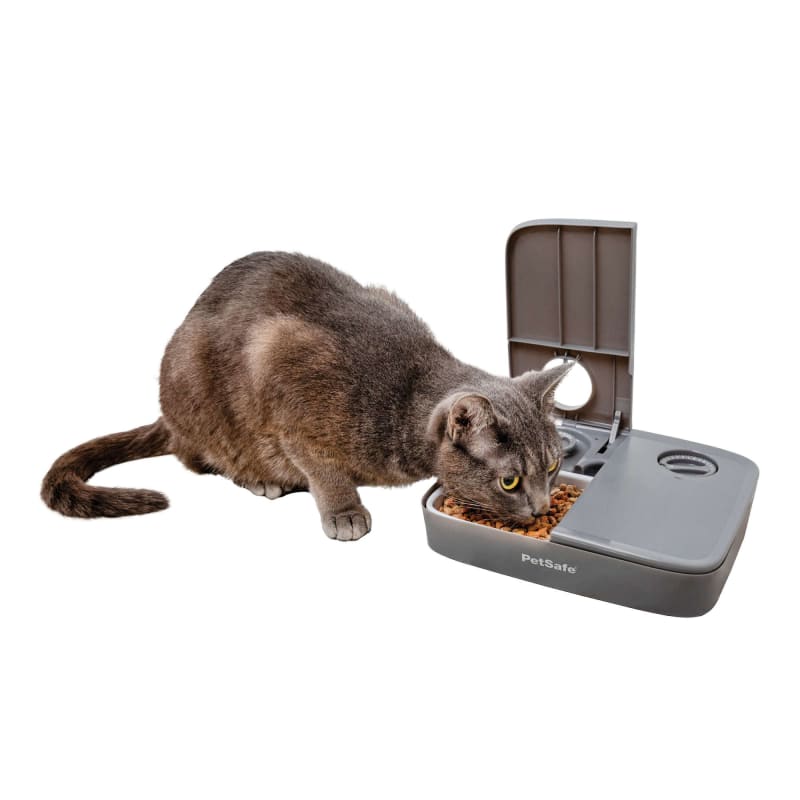 2 meal pet feeder online