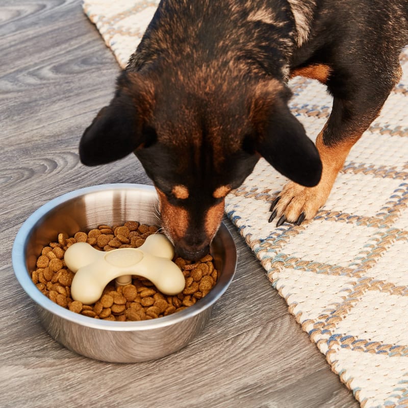 Gobble stopper bowl on sale