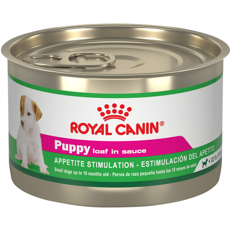 Small breed canned dog food outlet
