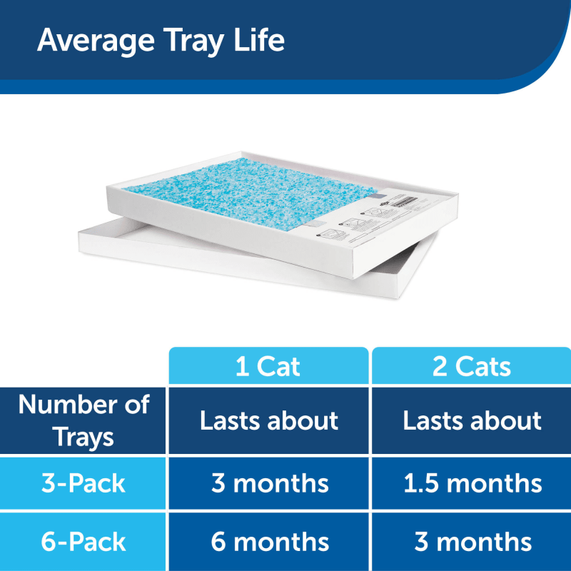 Average litter box size hot sale