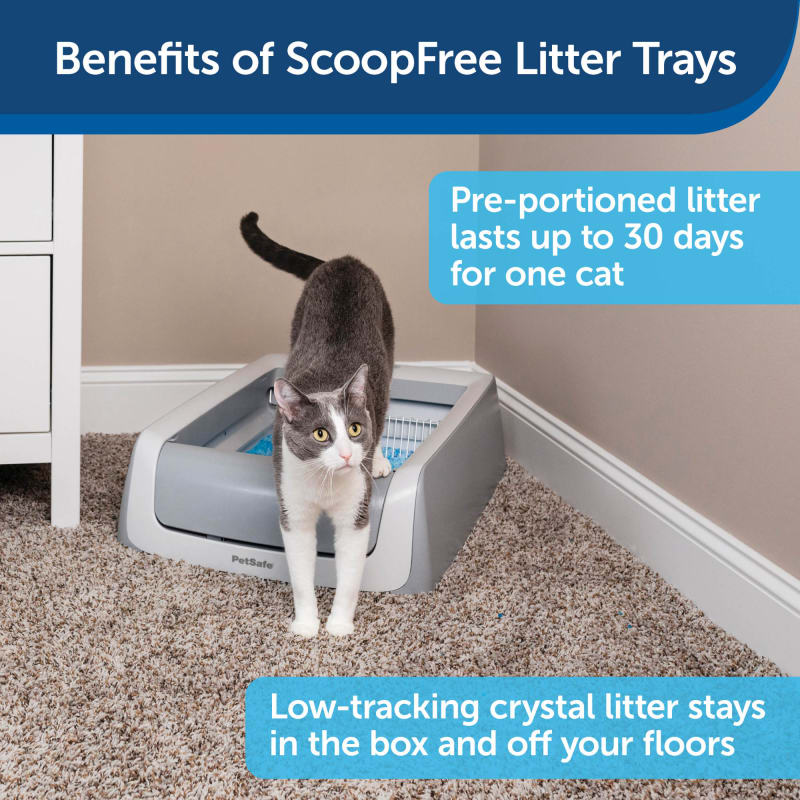 Scoopfree litter tray deals