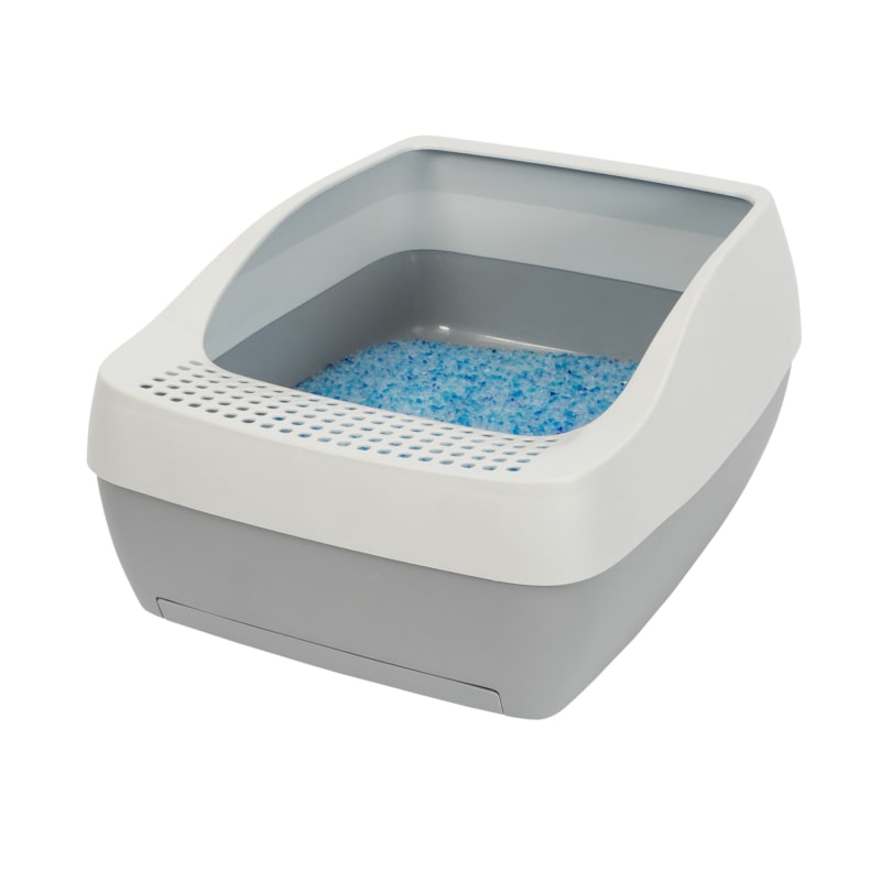 Fleet farm cat litter on sale
