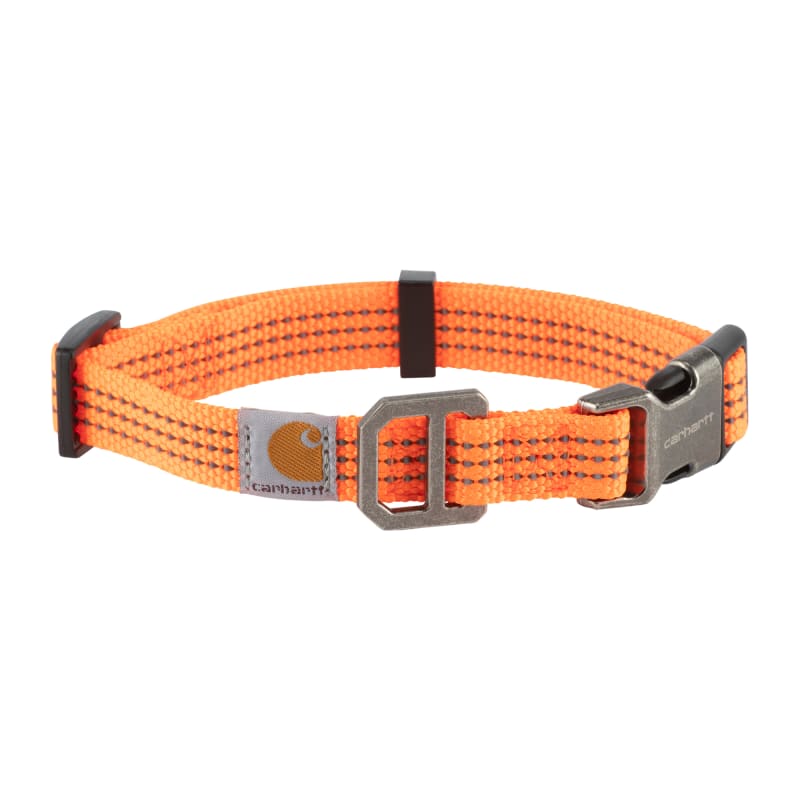 Fluorescent orange cheap dog collars