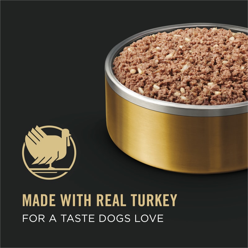 Purina pro plan senior canned dog food on sale