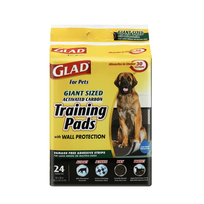 Carbon pee pads top