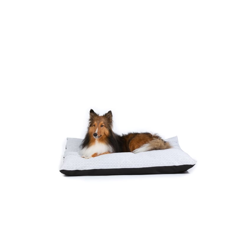 Rick 27 in x 36 in Knife Edge Dog Bed Assorted