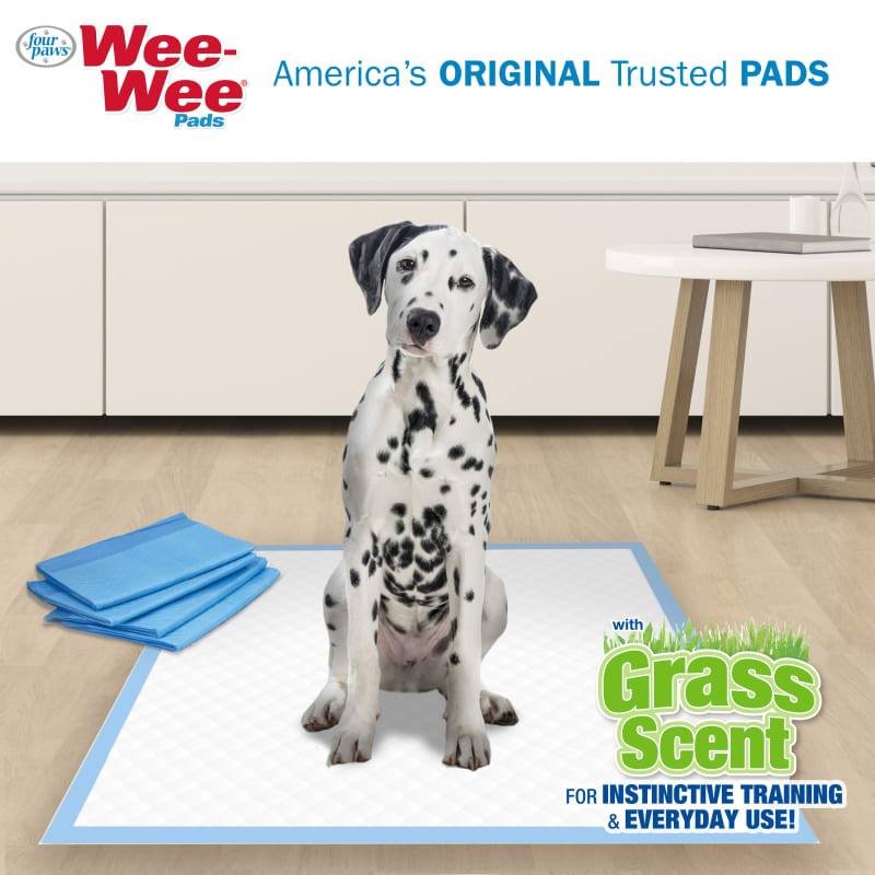 Grass wee wee pads for dogs sales
