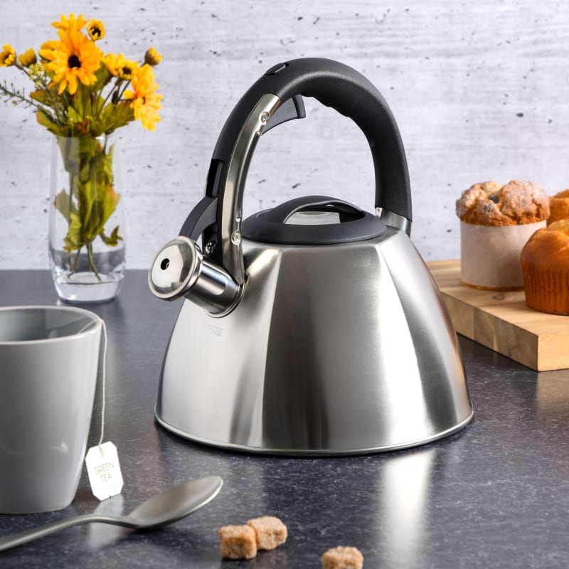 Mr. Coffee 12-Cup Silver Stainless Steel Whistling Tea Kettle