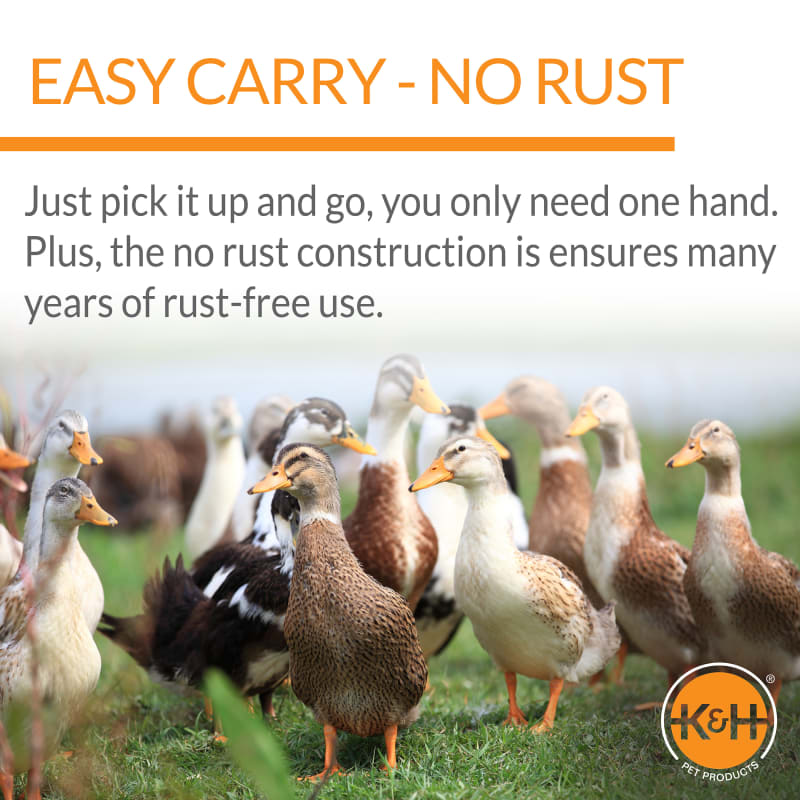 K&h new arrivals poultry waterer