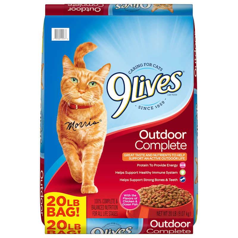 9Lives Daily Essentials Dry Cat Food, 20-Pound Bag 