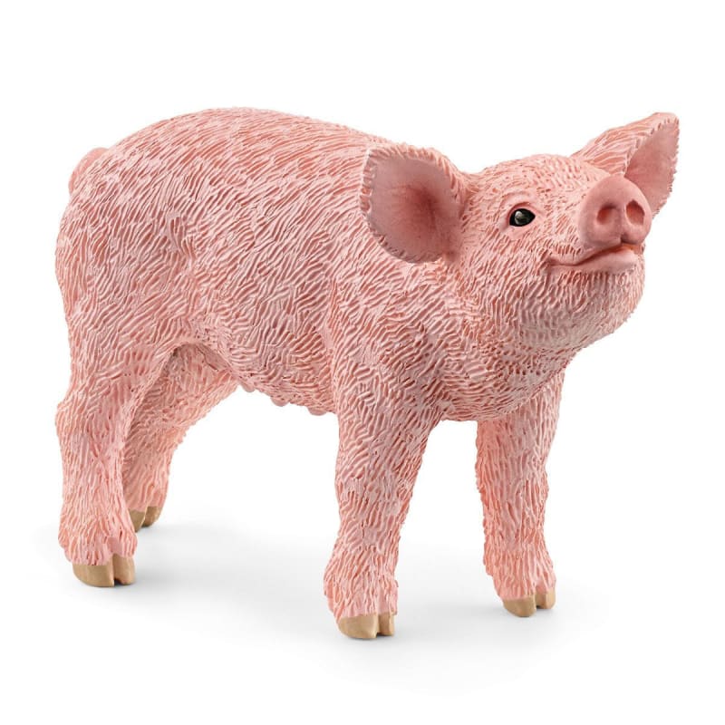 Fleet farm store schleich