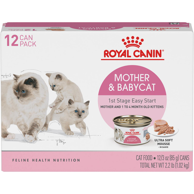 Royal canin kitten food near me on sale