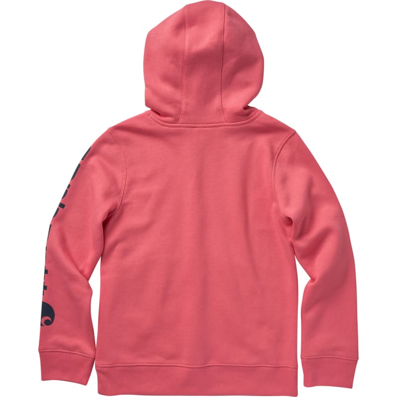 Girls carhartt hoodie store