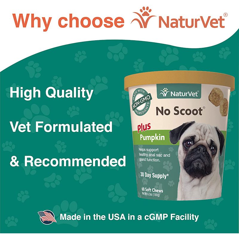 No 2025 scoot treats