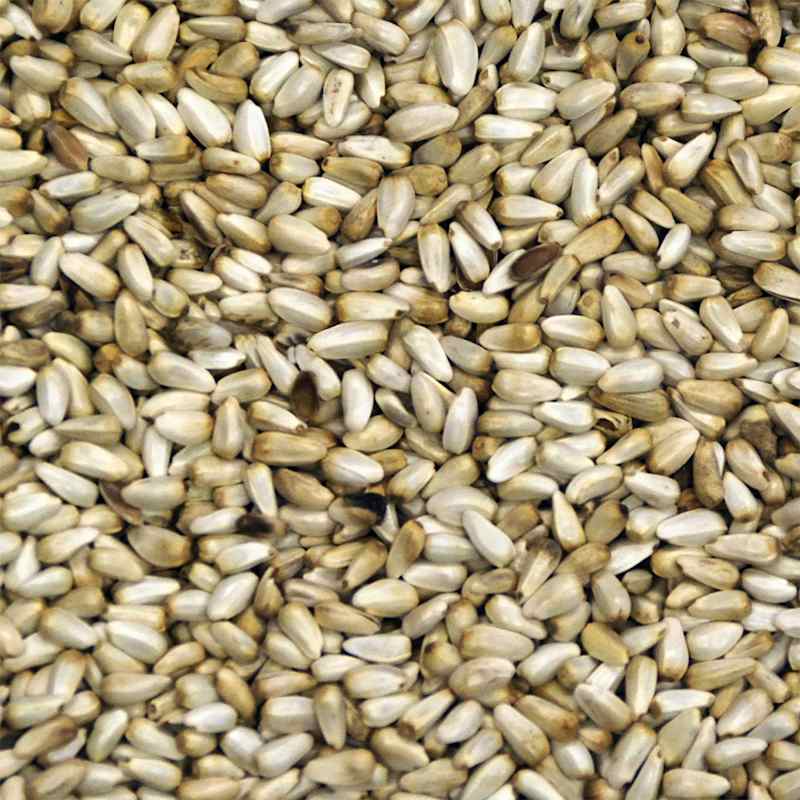 Tractor supply safflower seed clearance