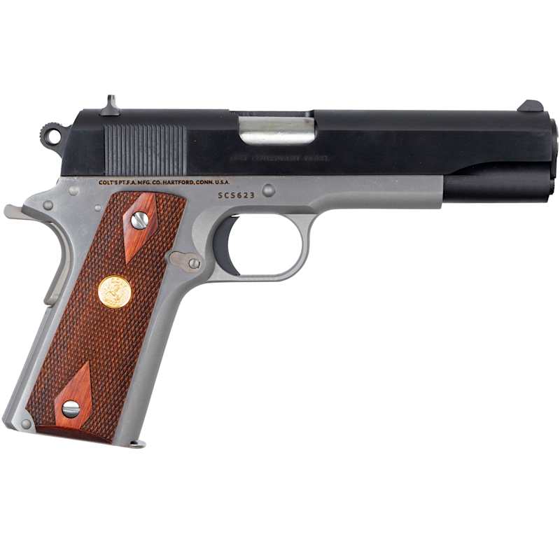 Classic GOVERNMENT Series .45 ACP 5 in. Barrel, Stainless