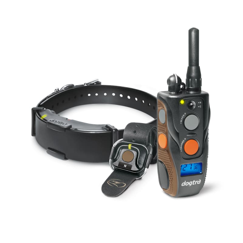 Fleet farm shock collar shop