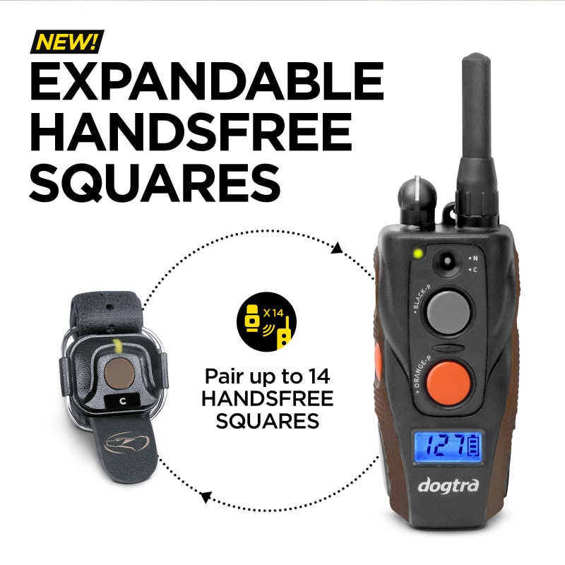 ARC Handsfree Plus Training System for Dogs by Dogtra at Fleet Farm - Main Image