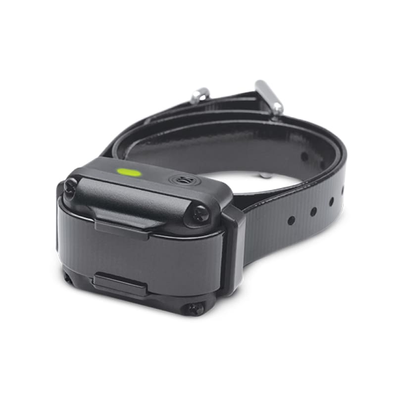 iQ Vibe Vibration Only No Bark Collar for Dogs by Dogtra at Fleet Farm