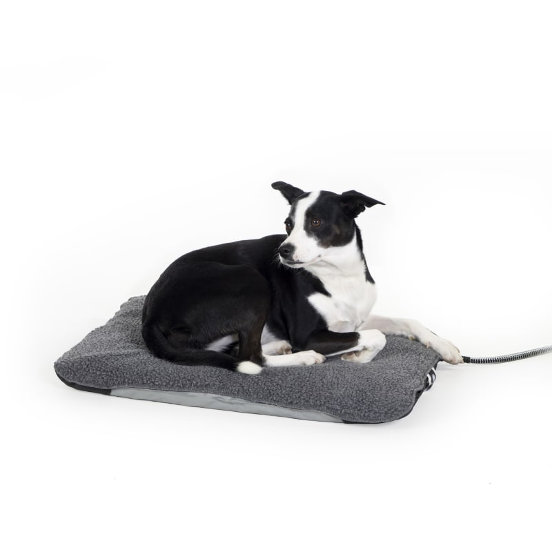 Fleet farm dog beds on sale