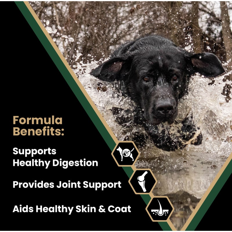 Victor performance dog food near me online