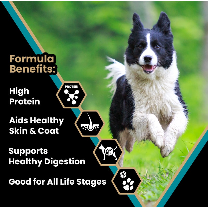 Classic Hi Pro Plus for Active Dogs Puppies Dry Dog Food by Victor Pet Food at Fleet Farm