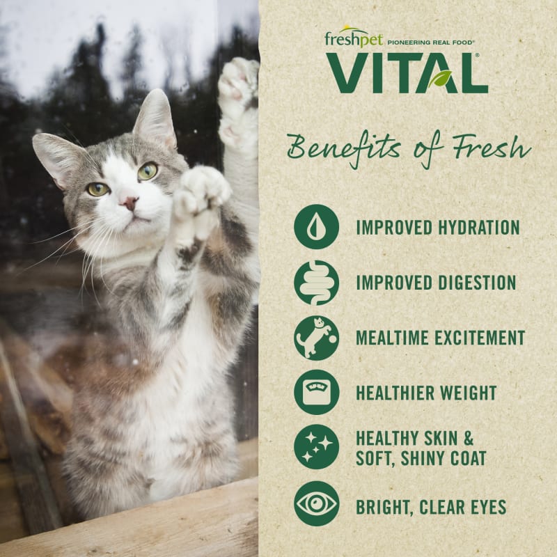Vital grain free cat food cheap