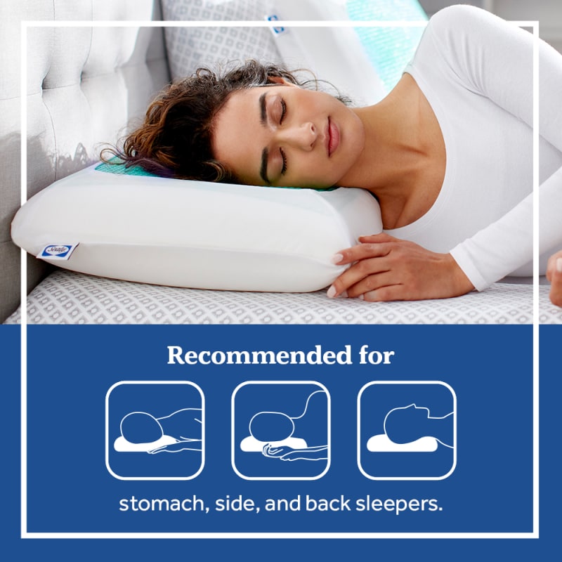 Sealy outlet foam pillow