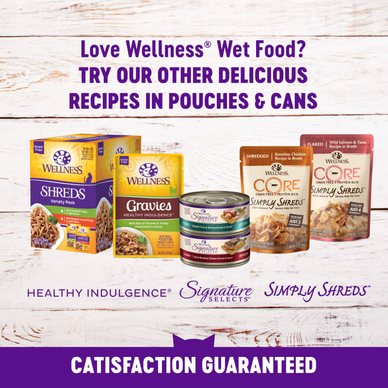 Wellness wet kitten new arrivals food