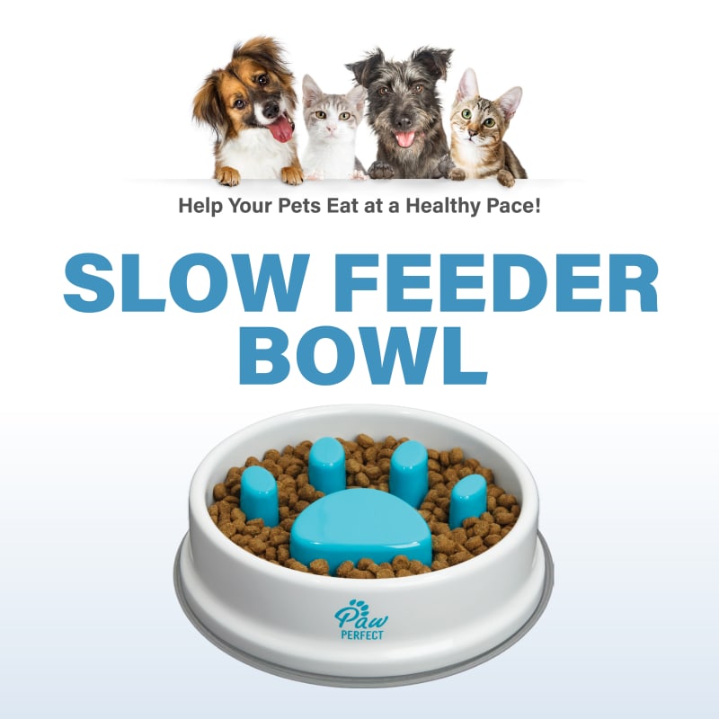 PawRoll Slow Feeder Dog Bowl – Paw Roll