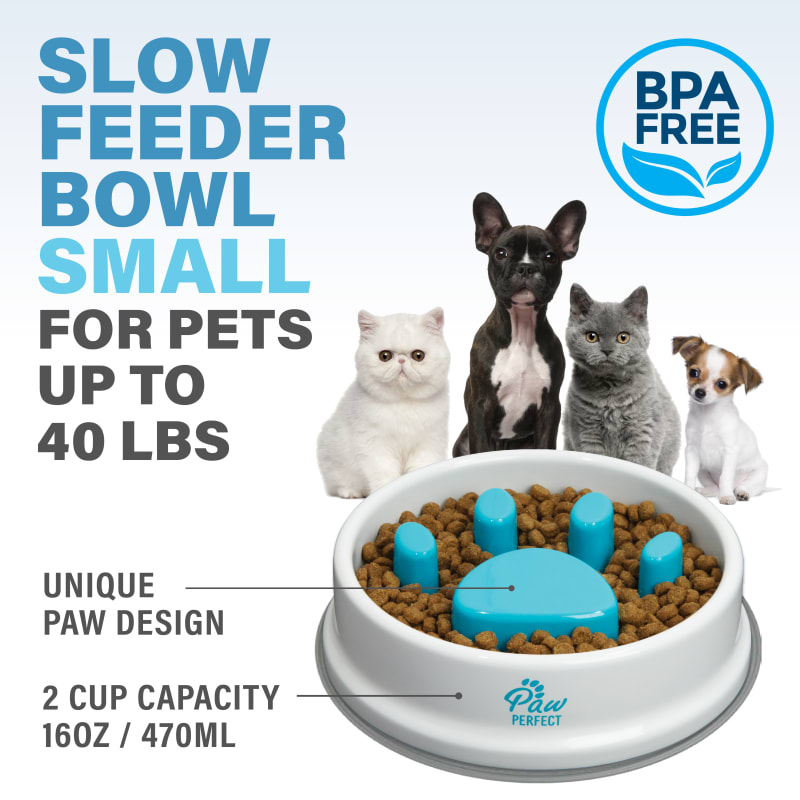 Paw Perfect Small Slow Feeder Bowl by Bell Howell at Fleet Farm