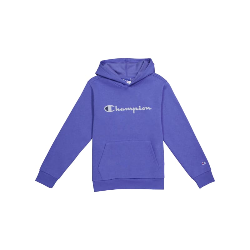 Blue champion hoodie boys clearance