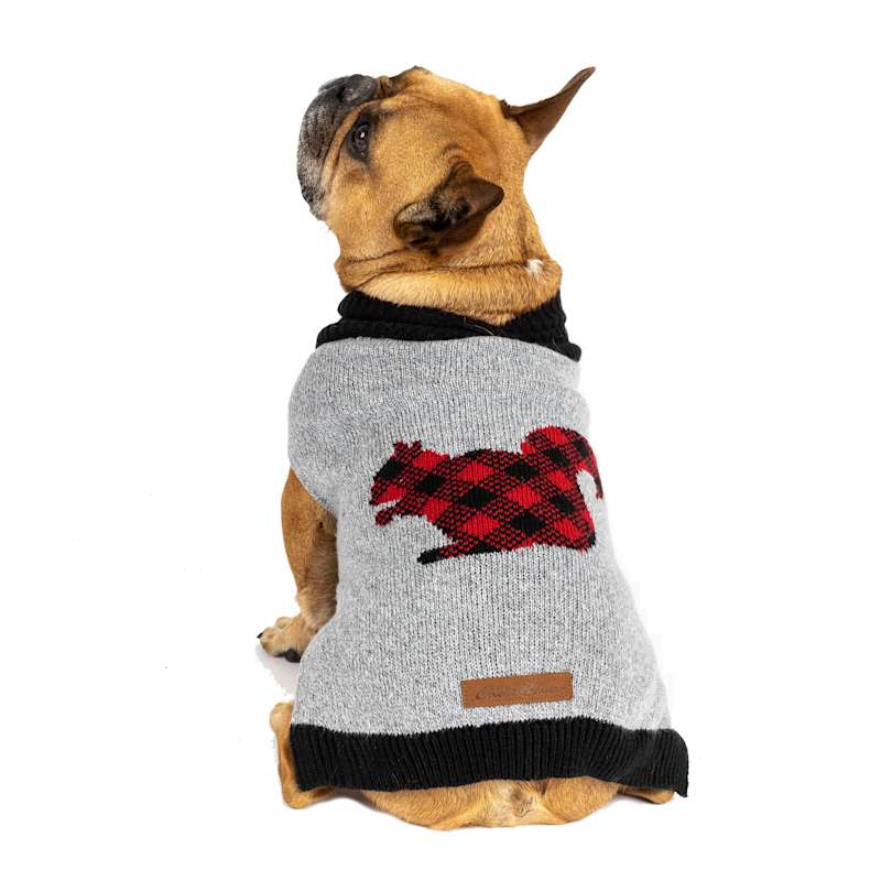 Eddie bauer plaid dog jacket hotsell